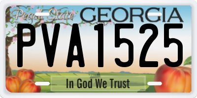 GA license plate PVA1525