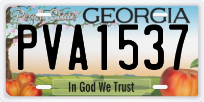 GA license plate PVA1537