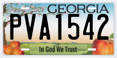 GA license plate PVA1542