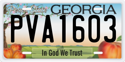 GA license plate PVA1603