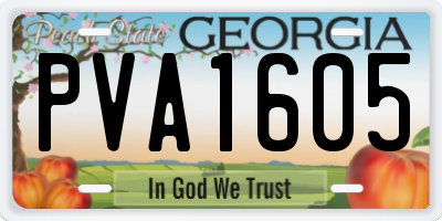 GA license plate PVA1605