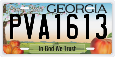GA license plate PVA1613