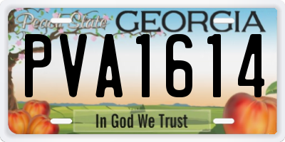 GA license plate PVA1614