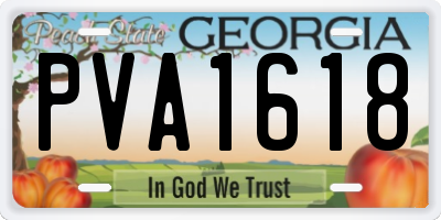 GA license plate PVA1618