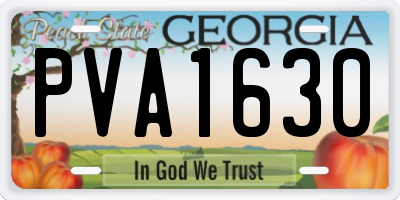 GA license plate PVA1630