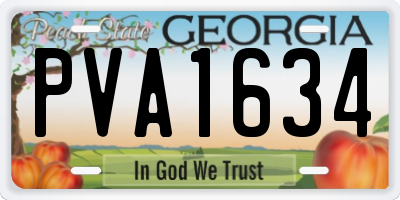 GA license plate PVA1634