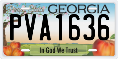 GA license plate PVA1636