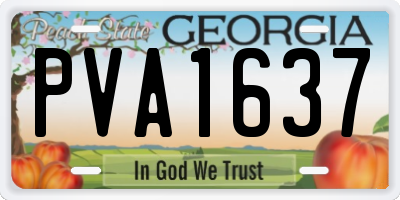 GA license plate PVA1637