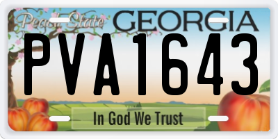 GA license plate PVA1643