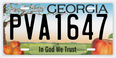 GA license plate PVA1647