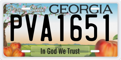 GA license plate PVA1651