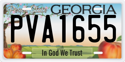 GA license plate PVA1655