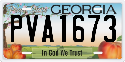 GA license plate PVA1673