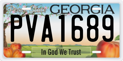 GA license plate PVA1689