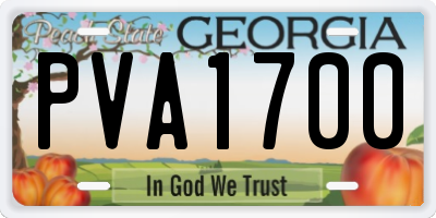 GA license plate PVA1700