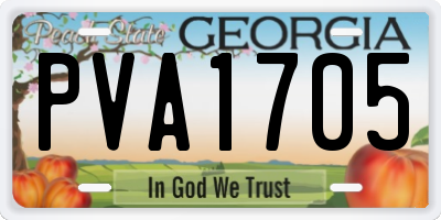 GA license plate PVA1705