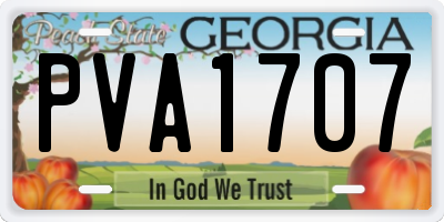 GA license plate PVA1707