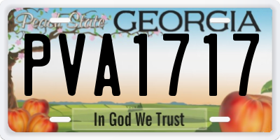 GA license plate PVA1717