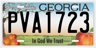 GA license plate PVA1723
