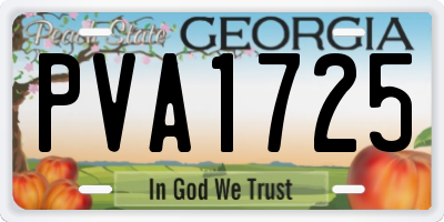 GA license plate PVA1725