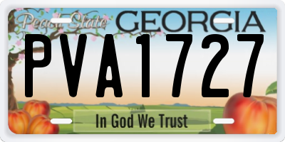 GA license plate PVA1727