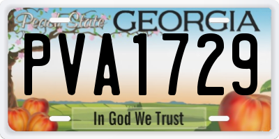 GA license plate PVA1729