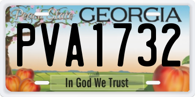 GA license plate PVA1732