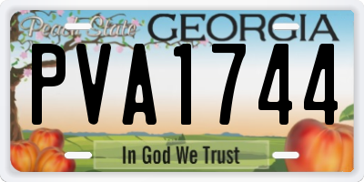 GA license plate PVA1744