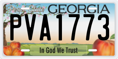 GA license plate PVA1773