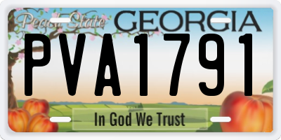 GA license plate PVA1791