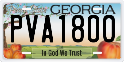 GA license plate PVA1800