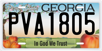 GA license plate PVA1805