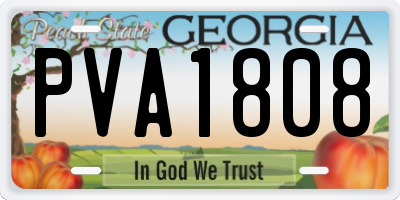 GA license plate PVA1808