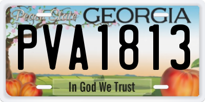 GA license plate PVA1813