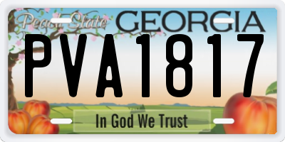 GA license plate PVA1817