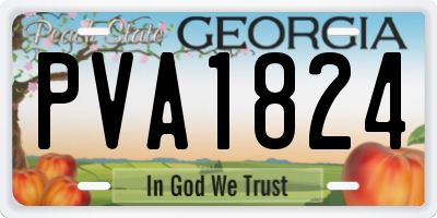 GA license plate PVA1824