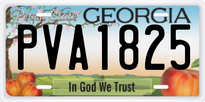 GA license plate PVA1825