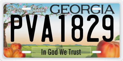 GA license plate PVA1829
