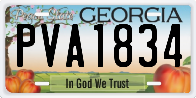 GA license plate PVA1834