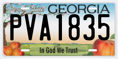 GA license plate PVA1835