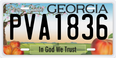 GA license plate PVA1836