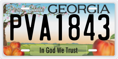 GA license plate PVA1843
