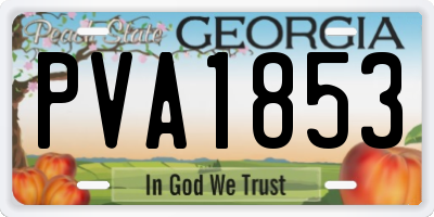 GA license plate PVA1853