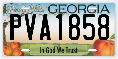 GA license plate PVA1858