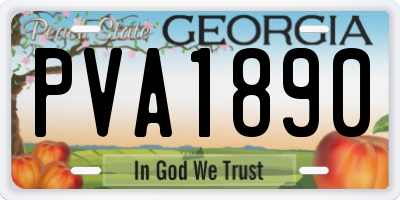 GA license plate PVA1890