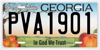 GA license plate PVA1901
