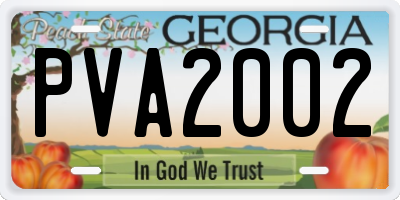 GA license plate PVA2002