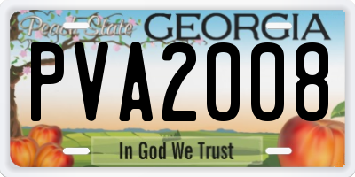 GA license plate PVA2008