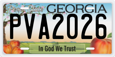 GA license plate PVA2026