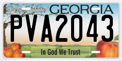 GA license plate PVA2043
